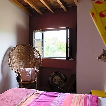 Hostel Argonauta