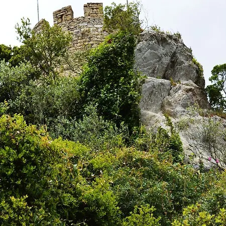 Argonauta Hostel *