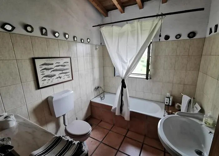 Vandrerhjem Argonauta *