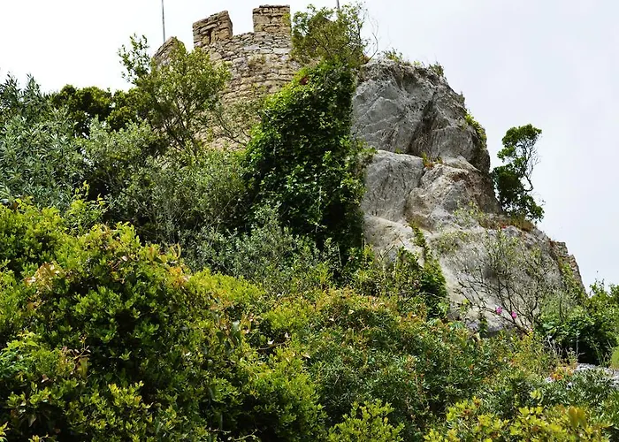 Argonauta Vandrerhjem *